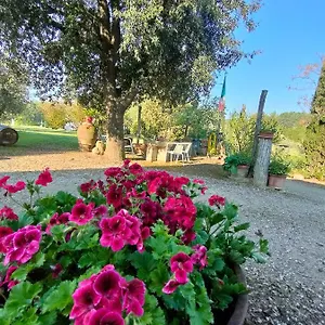 Azienda Agricola Polveraia , San Gimignano Italie